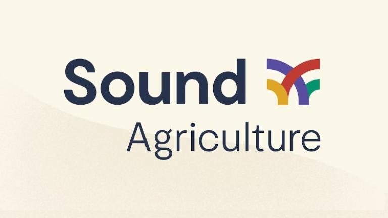 Sound written in black and 4 colors logos with rounded lines on a beige background